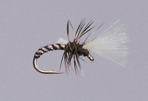 Haslams Death Midge trout fly